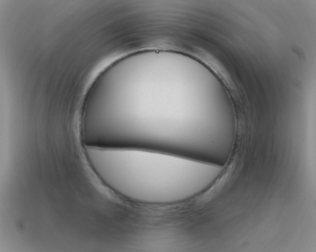 X0000115650854200911101115