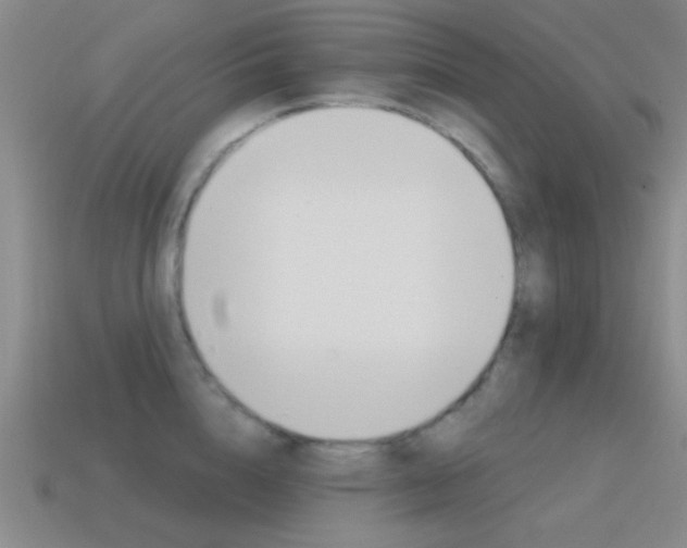 X0000115650856200911101115