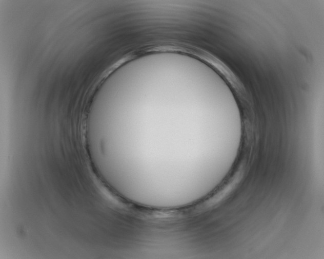 X0000115650857200911101115