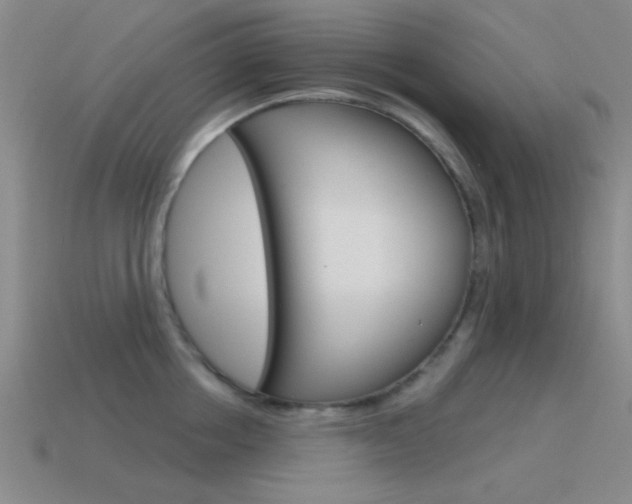 X0000115650858200911101115