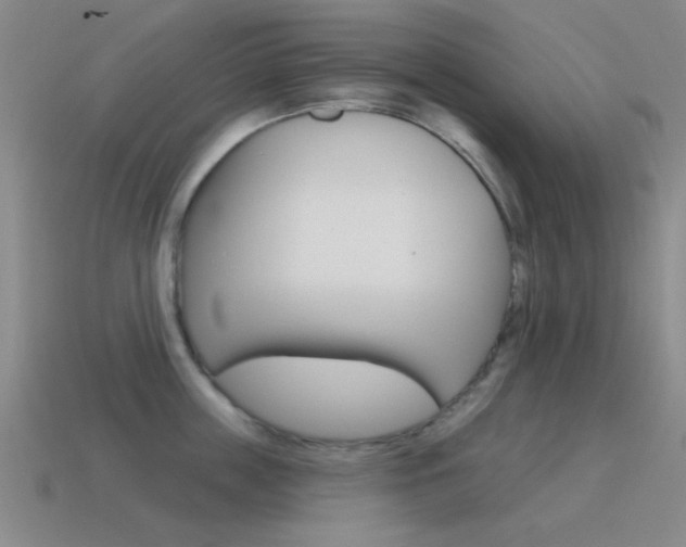 X0000115650859200911101115