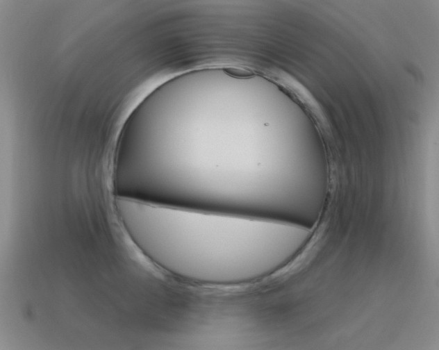 X0000115650860200911101115