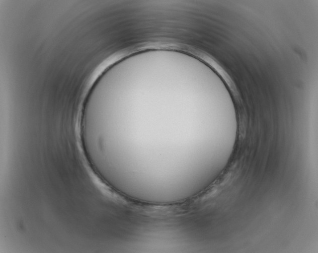 X0000115650861200911101115