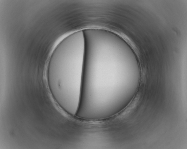 X0000115650862200911101115