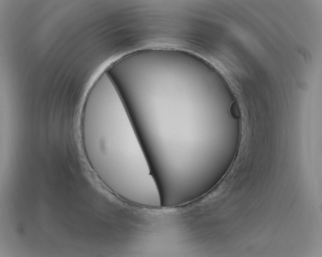 X0000115650864200911101115