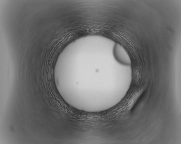 X0000115650865200911101114