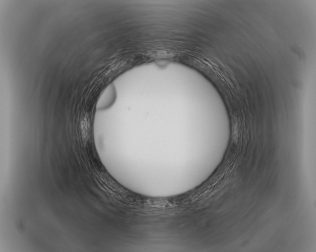 X0000115650866200911101114