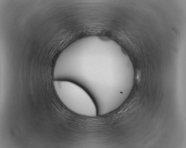 X0000115650867200911101114
