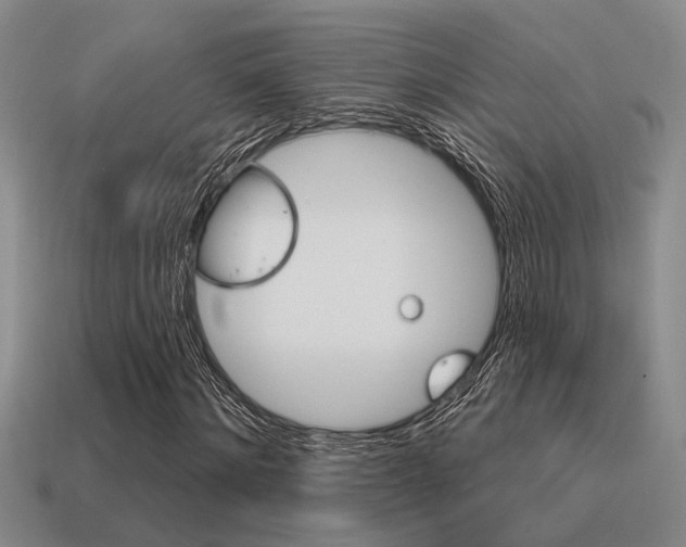 X0000115650868200911101114