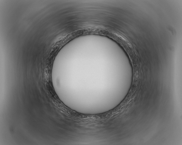 X0000115650869200911101114