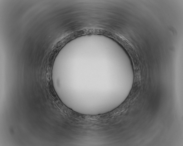 X0000115650870200911101114