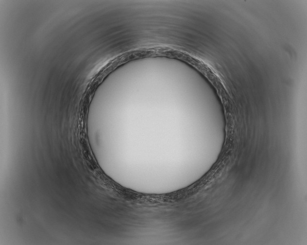 X0000115650871200911101114