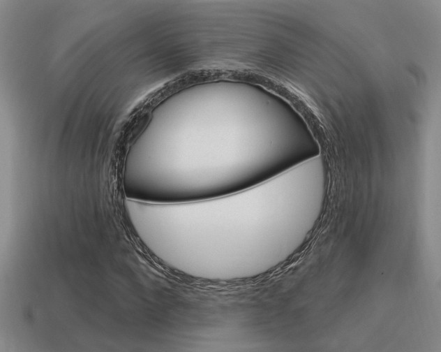X0000115650872200911101114