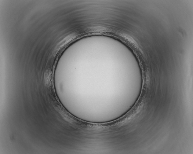 X0000115650873200911101114