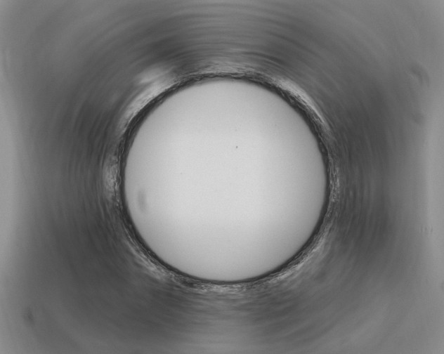 X0000115650874200911101114