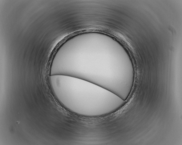 X0000115650875200911101114