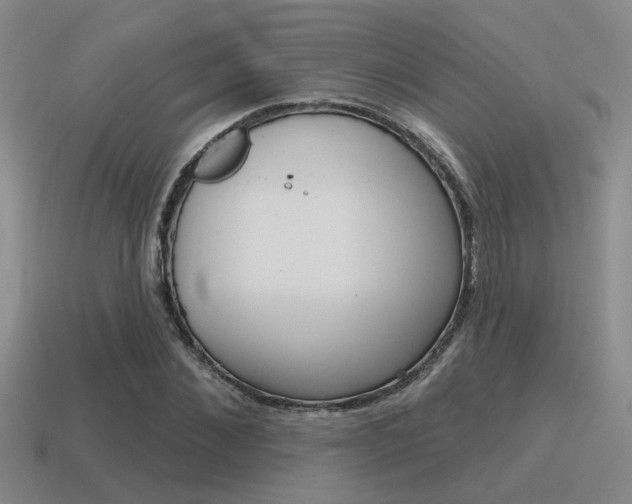 X0000115650876200911101114