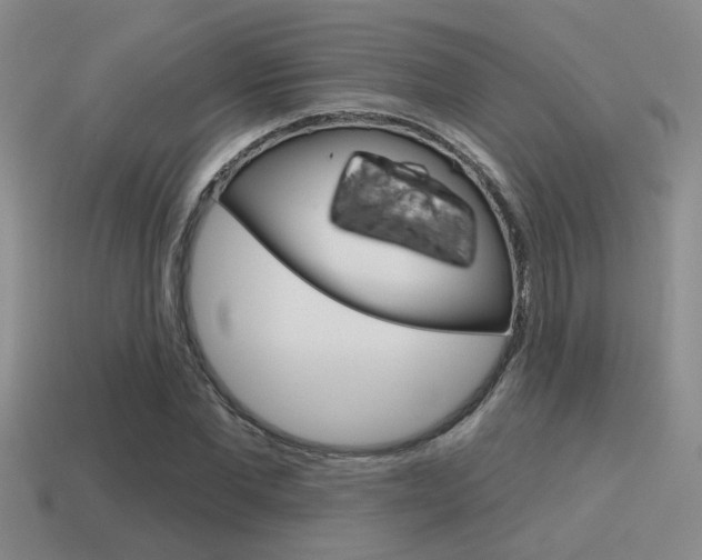 X0000115650877200911101114
