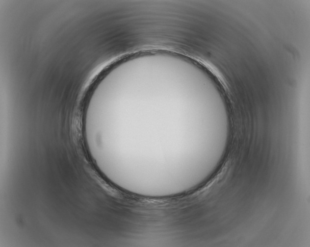 X0000115650878200911101114