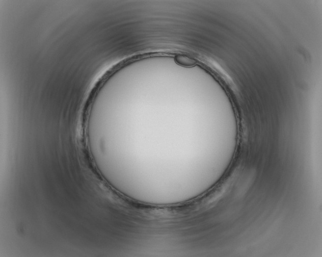 X0000115650883200911101114