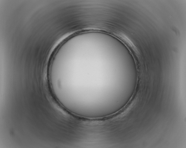 X0000115650884200911101114