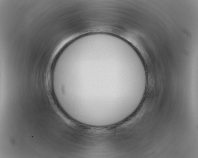 X0000115650886200911101114