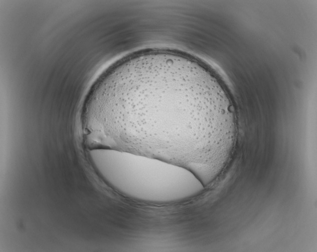 X0000115650887200911101114