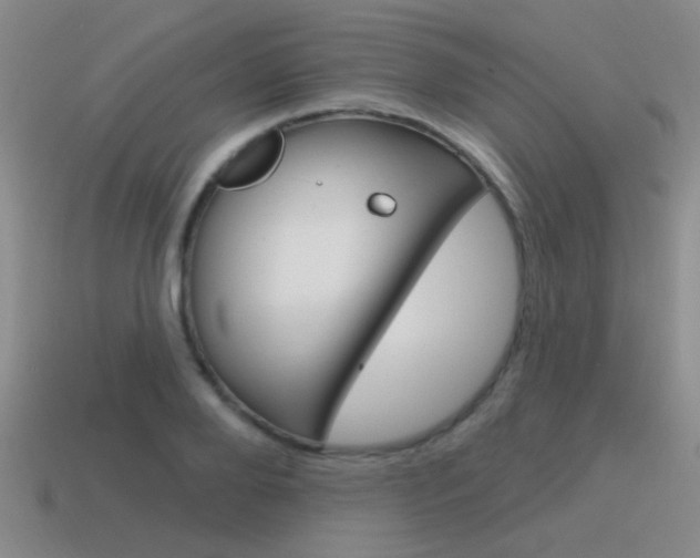 X0000115650888200911101114