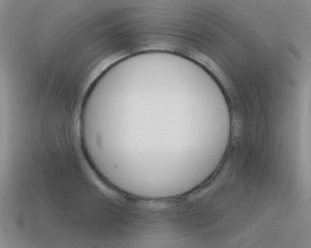 X0000115650890200911101114