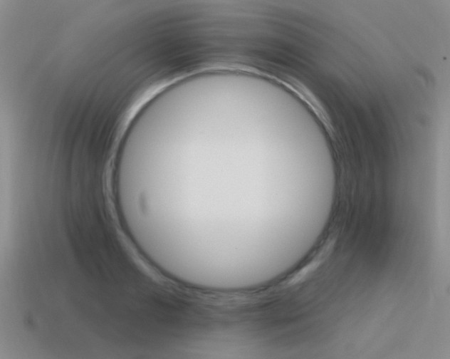 X0000115650893200911101114