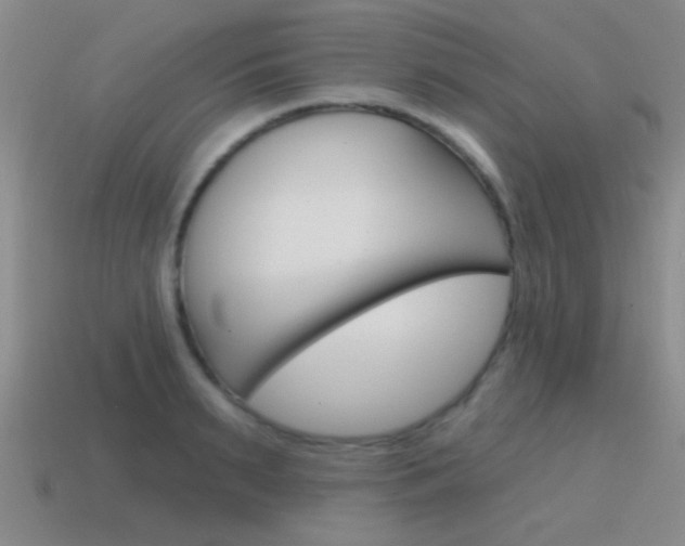 X0000115650895200911101114