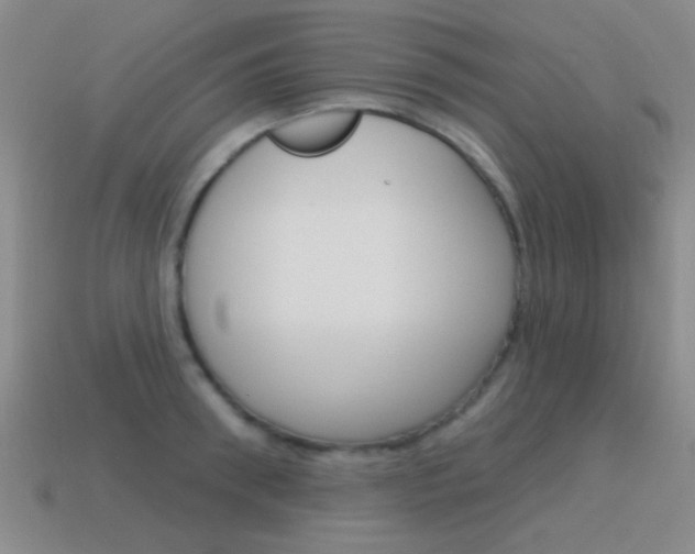 X0000115650898200911101114