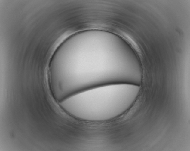 X0000115650899200911101114