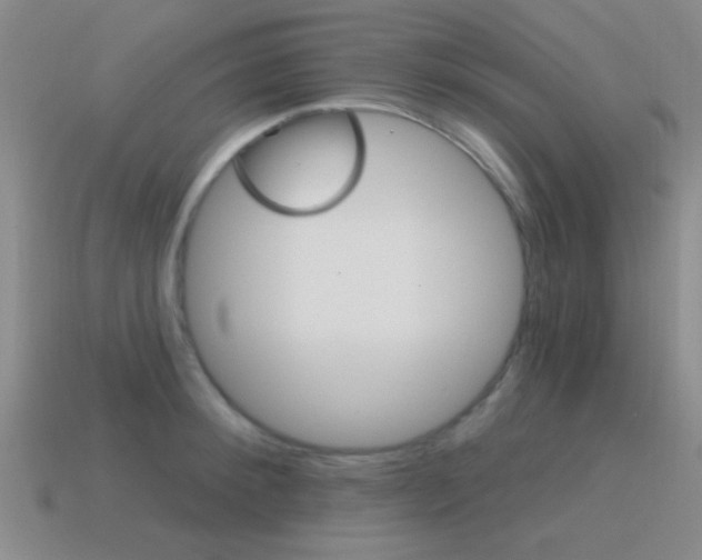 X0000115650900200911101114