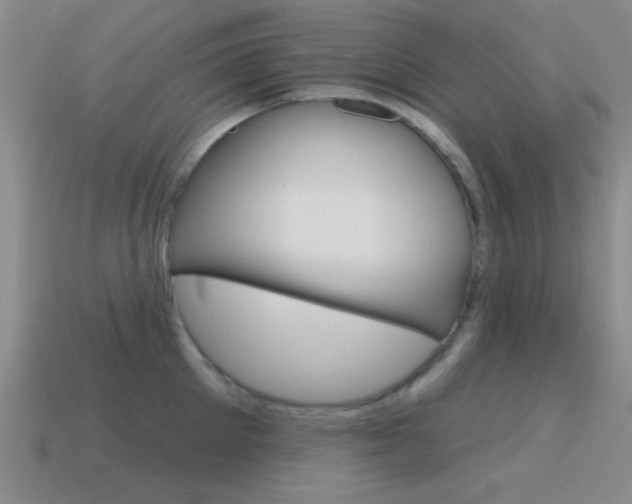 X0000115650905200911101114
