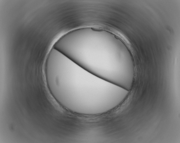 X0000115650907200911101114