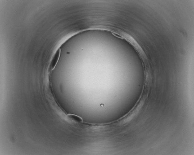 X0000115650908200911101114