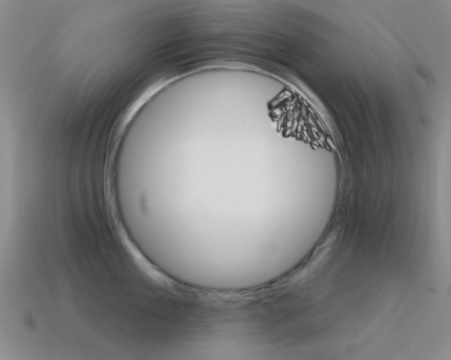 X0000115650909200911101114