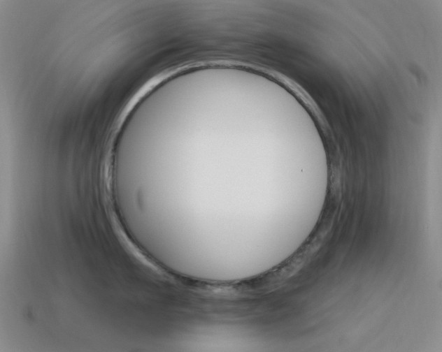 X0000115650911200911101114