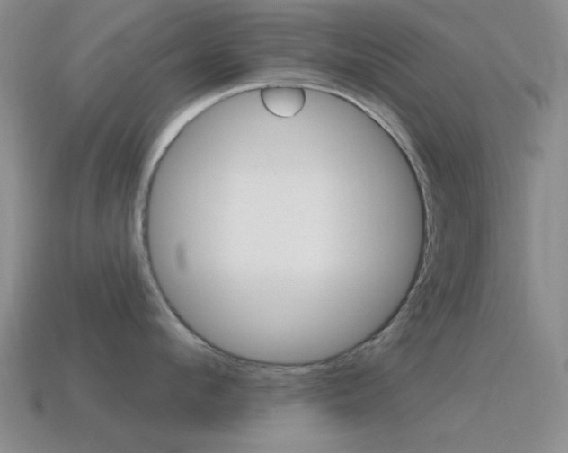 X0000115650912200911101114
