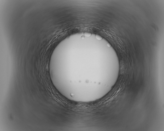 X0000115650913200911101113