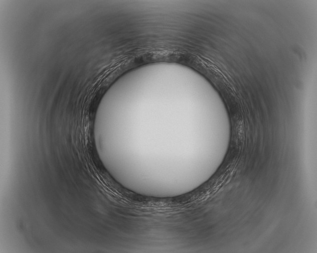 X0000115650914200911101113