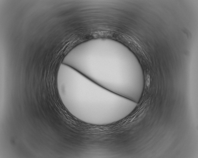 X0000115650915200911101113
