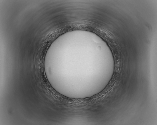 X0000115650917200911101113