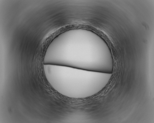X0000115650919200911101113