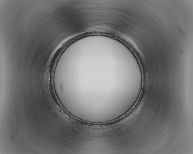 X0000115650923200911101113