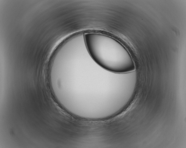 X0000115650926200911101113