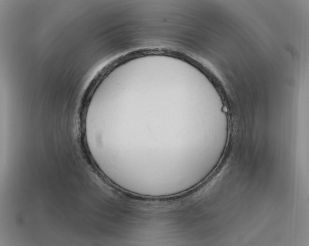 X0000115650927200911101113