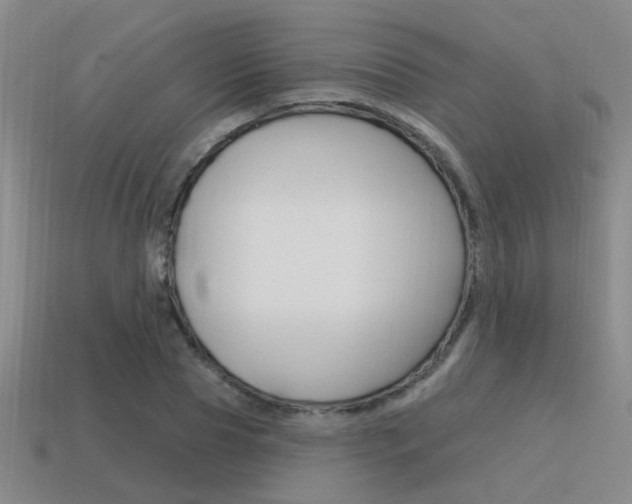 X0000115650929200911101113