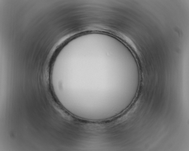 X0000115650931200911101113